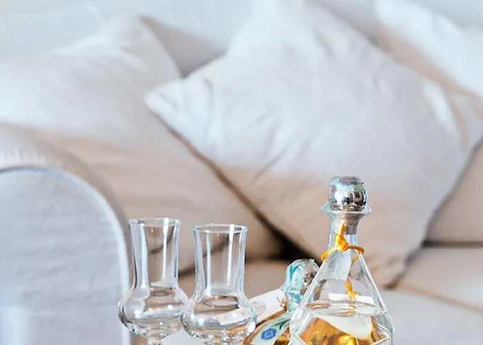 غابريسا فندق 4*